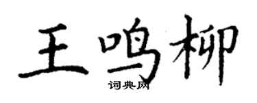 丁谦王鸣柳楷书个性签名怎么写
