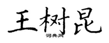 丁谦王树昆楷书个性签名怎么写
