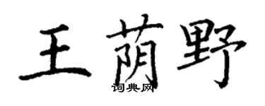 丁谦王荫野楷书个性签名怎么写