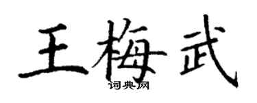 丁谦王梅武楷书个性签名怎么写