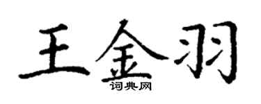 丁谦王金羽楷书个性签名怎么写