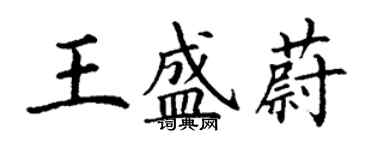 丁谦王盛蔚楷书个性签名怎么写