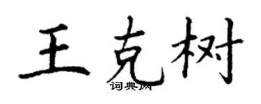 丁谦王克树楷书个性签名怎么写
