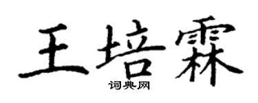 丁谦王培霖楷书个性签名怎么写