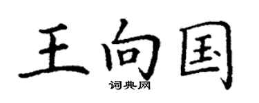 丁谦王向国楷书个性签名怎么写