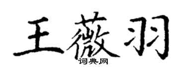 丁谦王薇羽楷书个性签名怎么写