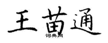 丁谦王苗通楷书个性签名怎么写
