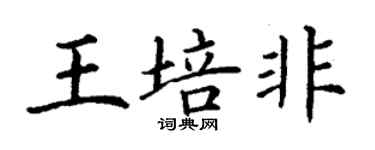 丁谦王培非楷书个性签名怎么写