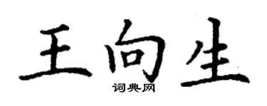 丁谦王向生楷书个性签名怎么写