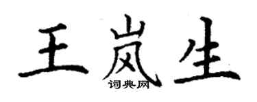 丁谦王岚生楷书个性签名怎么写