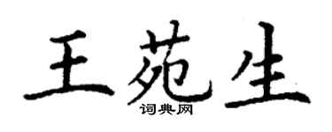 丁谦王苑生楷书个性签名怎么写