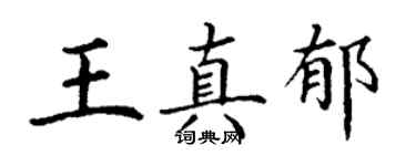 丁谦王真郁楷书个性签名怎么写