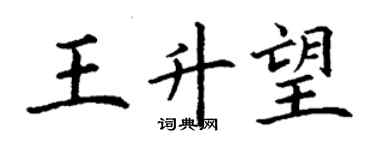 丁谦王升望楷书个性签名怎么写