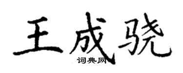 丁谦王成骁楷书个性签名怎么写