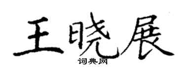 丁谦王晓展楷书个性签名怎么写