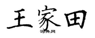 丁谦王家田楷书个性签名怎么写