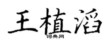 丁谦王植滔楷书个性签名怎么写