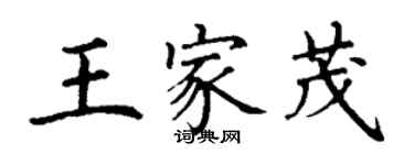 丁谦王家茂楷书个性签名怎么写