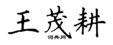 丁谦王茂耕楷书个性签名怎么写