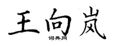 丁谦王向岚楷书个性签名怎么写