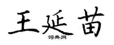 丁谦王延苗楷书个性签名怎么写