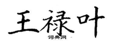 丁谦王禄叶楷书个性签名怎么写
