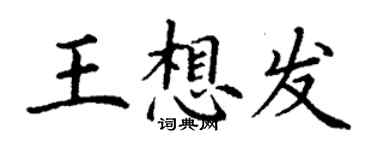 丁谦王想发楷书个性签名怎么写