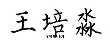 何伯昌王培淼楷书个性签名怎么写