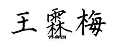 何伯昌王霖梅楷书个性签名怎么写