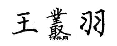 何伯昌王丛羽楷书个性签名怎么写