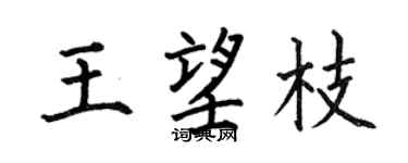 何伯昌王望枝楷书个性签名怎么写