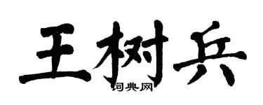 翁闿运王树兵楷书个性签名怎么写