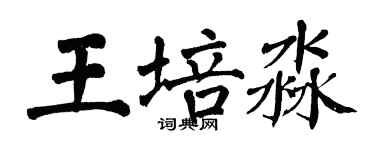 翁闿运王培淼楷书个性签名怎么写