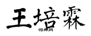 翁闿运王培霖楷书个性签名怎么写
