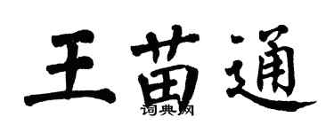 翁闿运王苗通楷书个性签名怎么写