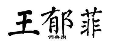 翁闿运王郁菲楷书个性签名怎么写