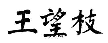 翁闿运王望枝楷书个性签名怎么写