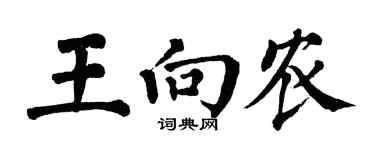 翁闿运王向农楷书个性签名怎么写