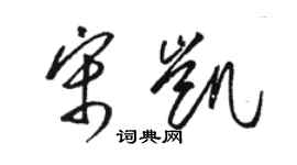 骆恒光宋凯草书个性签名怎么写
