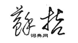 骆恒光苏哲草书个性签名怎么写