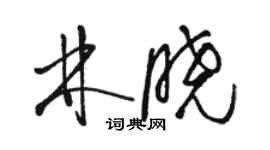 骆恒光林晓草书个性签名怎么写