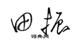 骆恒光田振草书个性签名怎么写