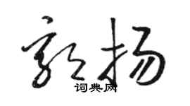 骆恒光郭扬草书个性签名怎么写