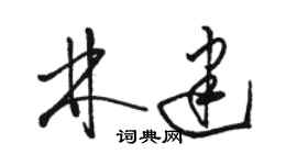 骆恒光林建草书个性签名怎么写