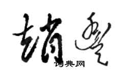 骆恒光赵丰草书个性签名怎么写