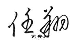 骆恒光任翔草书个性签名怎么写