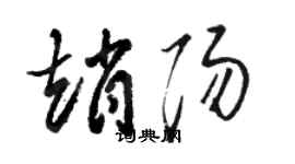 骆恒光赵阳草书个性签名怎么写