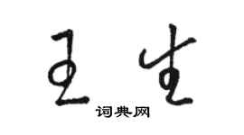 骆恒光王生草书个性签名怎么写