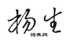 骆恒光杨生草书个性签名怎么写