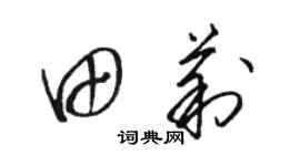 骆恒光田莉草书个性签名怎么写